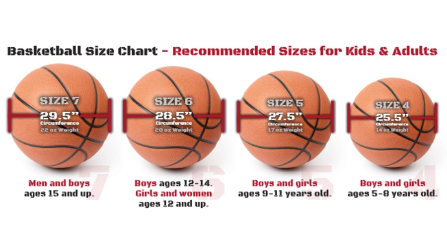 Basketball Sizes Chart - Recommended Sizes for Kids & Adults