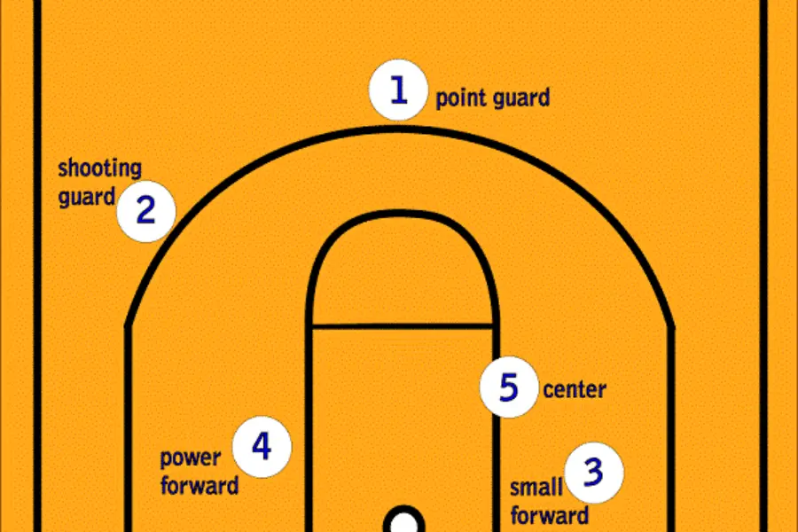 5 Basic positions in basketball