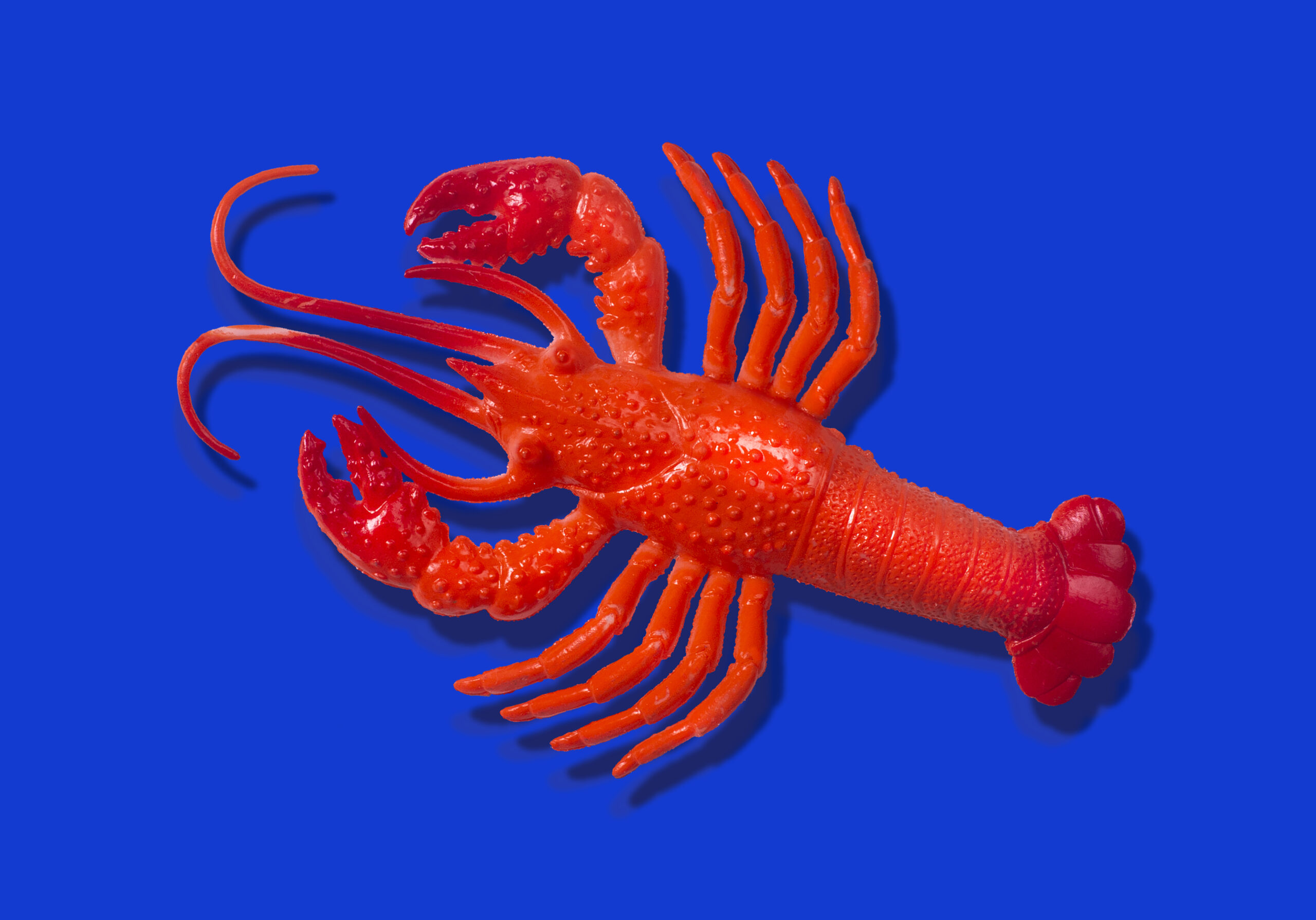 Anthropic Claude AI subscription plans and pricing interface